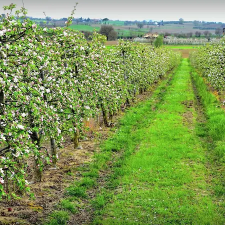 Вилла Belvilla By Oyo Paola