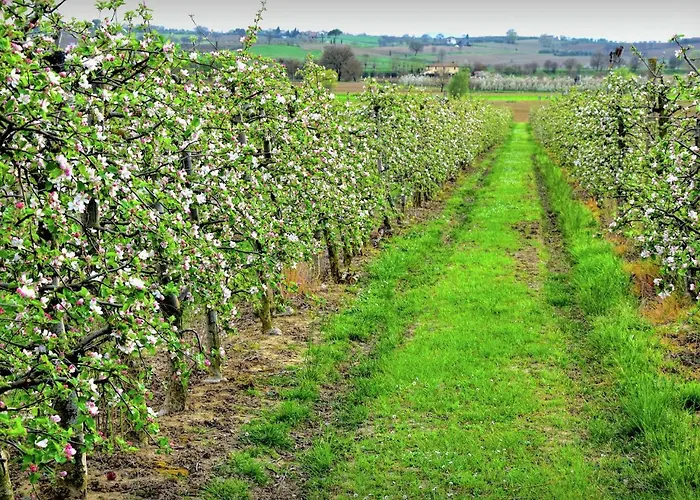 Вилла Belvilla By Oyo Paola